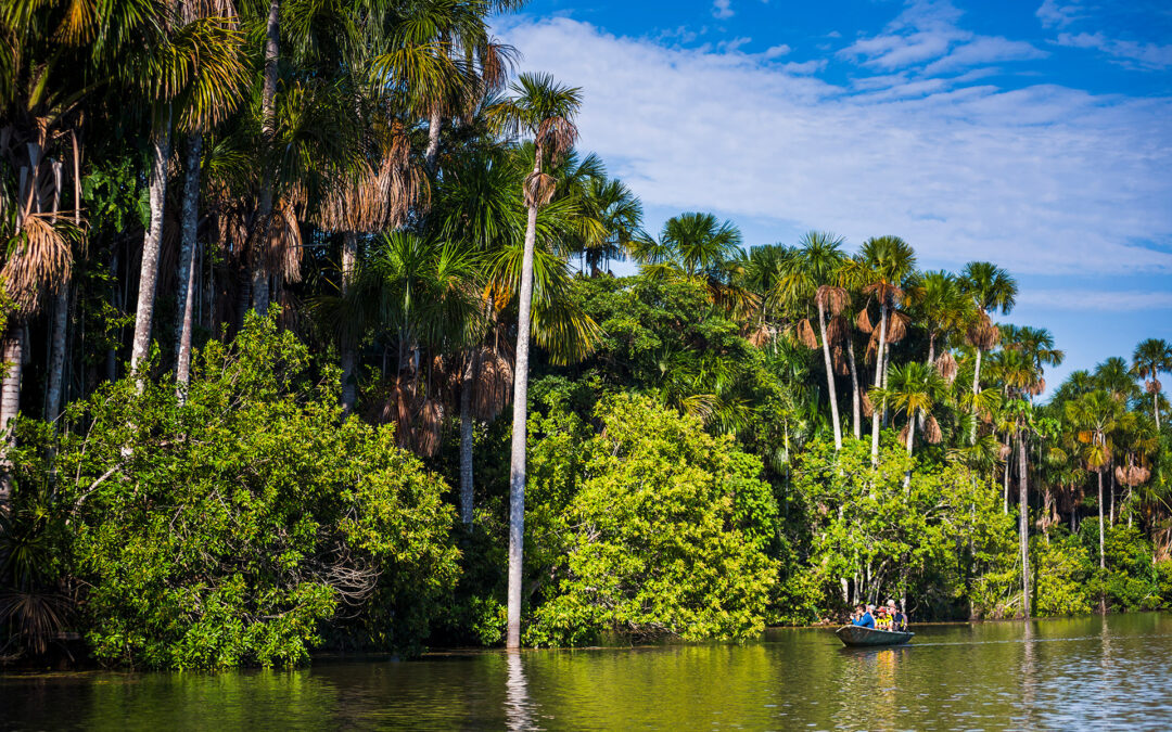 Descubre el Parque Nacional Madidi: Un Tesoro Natural en Bolivia